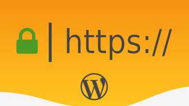 رفع مشکل SSL در وردپرس + معرفی افزونه فعال سازی SSL