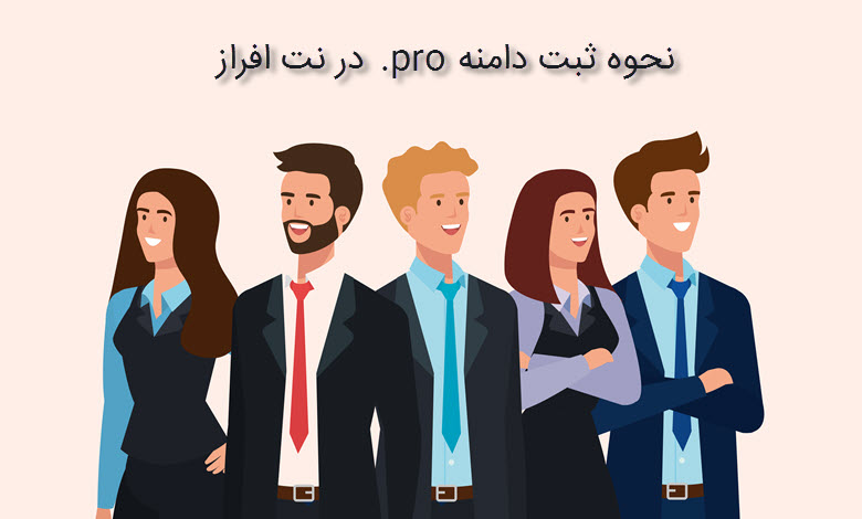 نحوه ثبت دامنه pro. در نت افراز